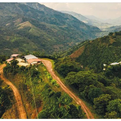 Colombia - Seleccion Planadas Organic