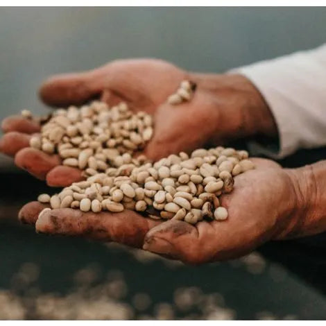 Colombia - Seleccion Planadas Organic