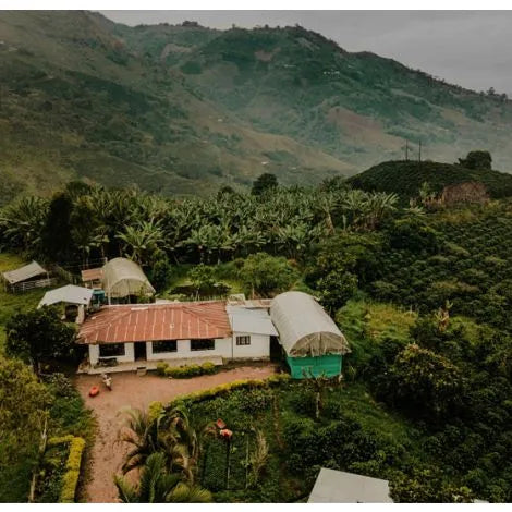 Colombia - El Buho Sugarcane Decaf