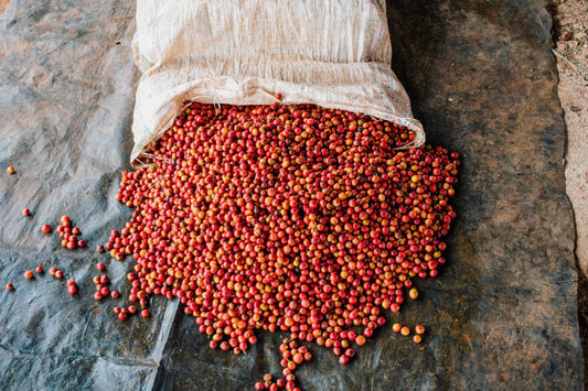 Kenya - Kiamabara 200g