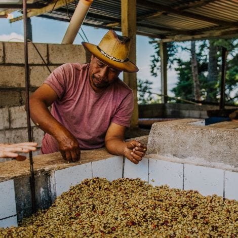 Guatemala - Baja Verapaz Espresso